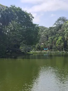 Foto 5 de Horto Florestal