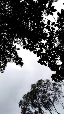 Foto 4 de Parque Ecológico Profª Lydia Natalizio Diogo - Vila Prudente