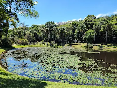 Foto 2 de Parque Estadual das Fontes do Ipiranga