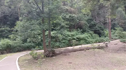 Foto 4 de Parque Ecológico do Jardim Bonança