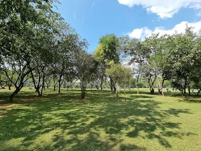 Foto 2 de Parque Tietê Ecológico Barueri