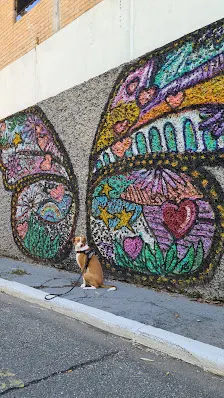 Foto 2 de Mural da Borboleta