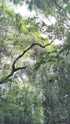 Foto 3 de Parque Estadual Cantareira - Núcleo Engordador