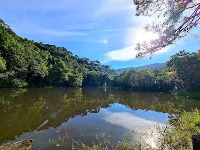 Foto 10 de Parque Estadual Cantareira - Núcleo Pedra Grande