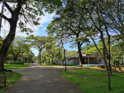 Foto 6 de Parque Antônio Fláquer Ipiranguinha
