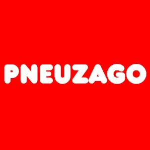 Foto 5 de PneuZago - Cangaíba