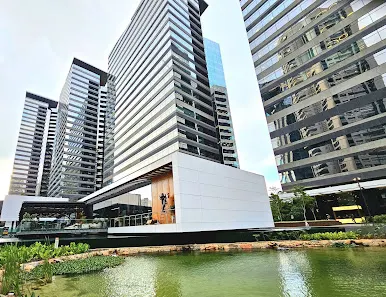 Foto 8 de Parque da Cidade - Torre Tarumã