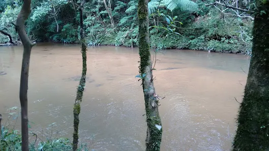 Foto 4 de Ribeirão dos Monos