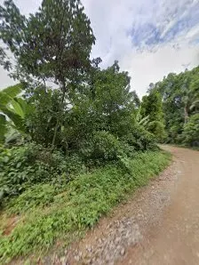Foto 3 de Trilha Cachoeira da Graça