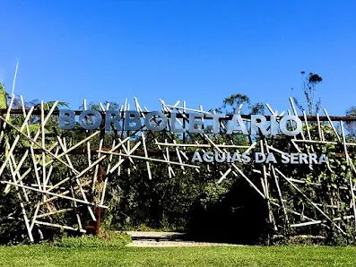 Foto 3 de Borboletário de São Paulo