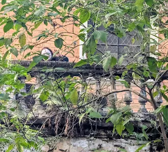 Foto 3 de A mulher da casa abandonada