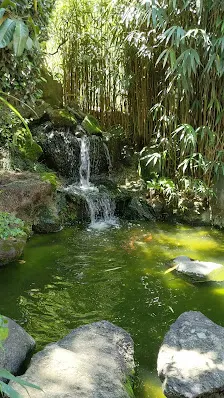 Foto 5 de Jardim Oriental Liberdade