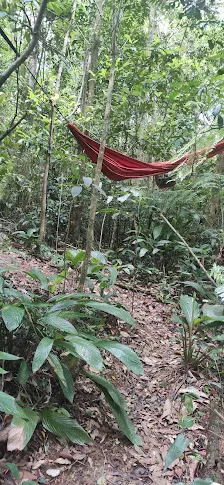 Foto 8 de Natur Camping