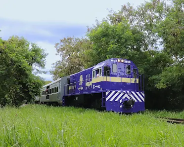 Foto 5 de Trem da República de Salto