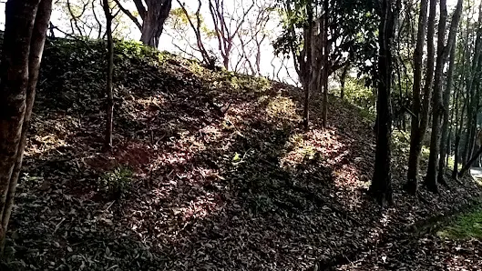 Foto 4 de Parque Tietê Ecológico Barueri