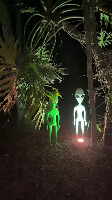 Foto 4 de Cabanas na Mata em Socorro