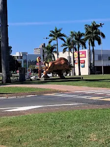 Foto 3 de Maria Fumaça Jaguariúna - Campinas