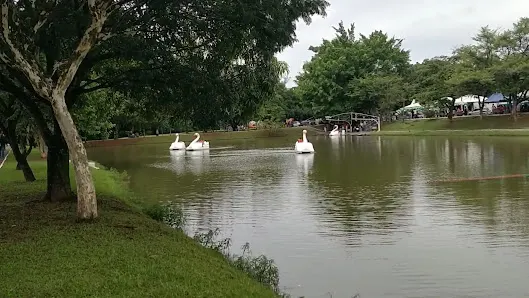 Foto 5 de Parque Zeca Malavazzi
