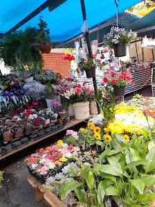 Foto 2 de Feira livre Rua Pandiá Calógeras (Liberdade)