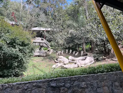Foto 3 de Sitiolândia