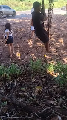 Foto 4 de Divisa de SP/MG