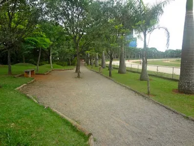 Foto 2 de Parque Trote