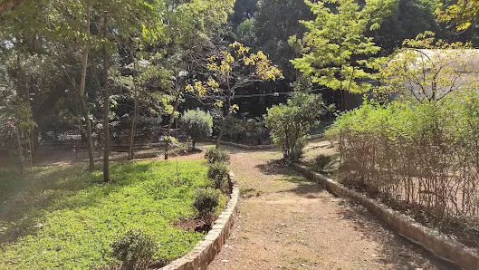 Foto 2 de Parque Botânico Escola de Ecologia Jânio Quadros
