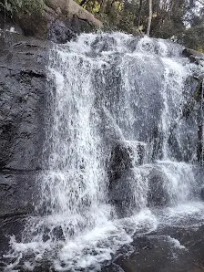 Foto 2 de Trilha Cachoeira da Graça