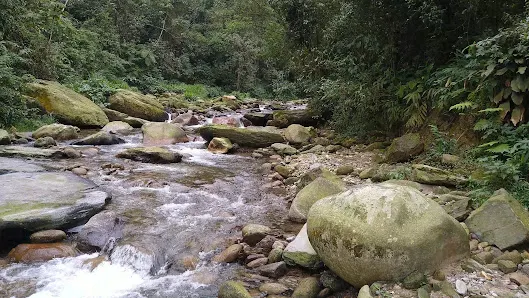 Foto 4 de Pedra do Pulo