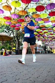 Foto 4 de Guarda-chuvas de Holambra