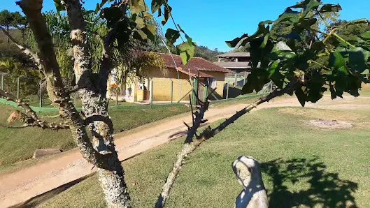 Foto 7 de Vapo Camping EcoPark