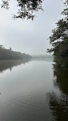 Foto 3 de Parque Ecológico Prof. Hermógenes de Freitas Leitão