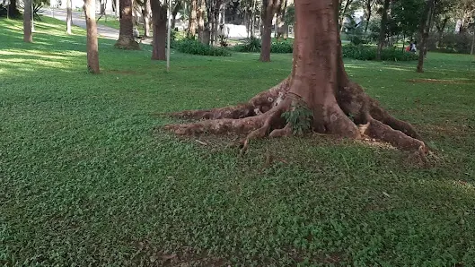 Foto 4 de Parque Antônio Fláquer Ipiranguinha