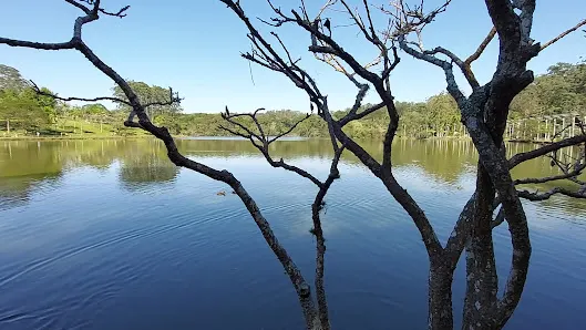 Foto 4 de Área de Proteção Ambiental Parque e Fazenda do Carmo