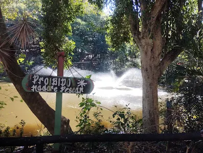 Foto 3 de Parque Ecológico Dionísio Alvarez Mateos