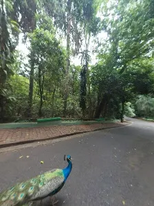Foto 8 de Bosque Zoológico Municipal Fábio Barreto
