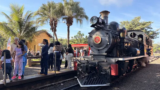 Foto 2 de Passeio de trem - Maria Fumaça Campinas