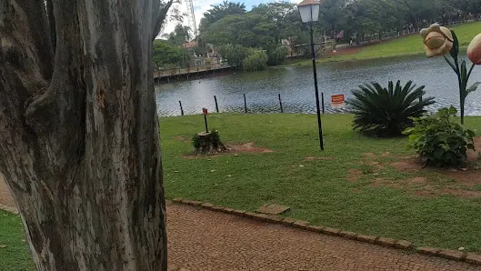 Foto 4 de Lago Vitória Régia