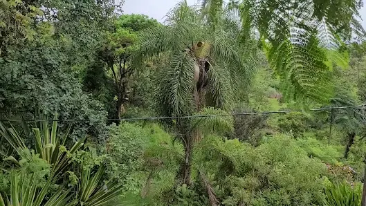 Foto 4 de Fazenda das Pedras Itu