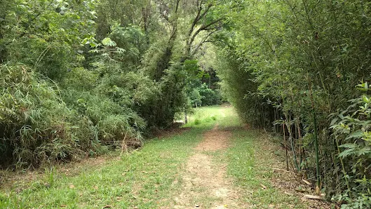 Foto 9 de Camping Recanto da Cachoeira