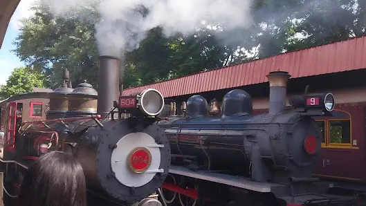 Foto 4 de Passeio de trem - Maria Fumaça Campinas