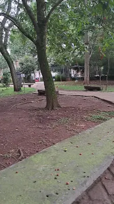 Foto 4 de Parque Severo Gomes