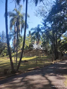 Foto 2 de Parque Horto Florestal - Portão 5