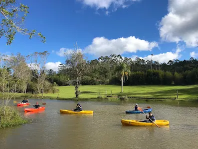 Foto 4 de Borboletário de São Paulo