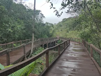 Foto 2 de Parque Ecológico Imigrantes