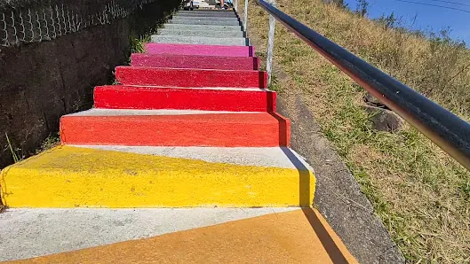 Foto 6 de Parque Estadual Jaraguá