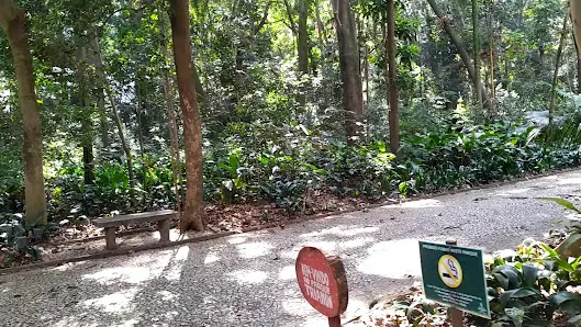 Foto 4 de Parque Tenente Siqueira Campos - Trianon