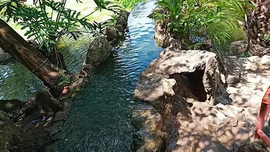 Foto 4 de Jardim Oriental Liberdade