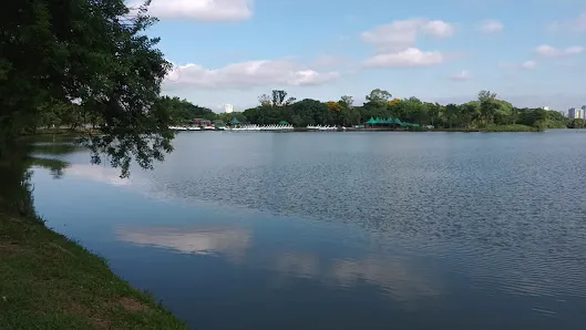 Foto 4 de Pedalinho do lago - Parque Ecológico