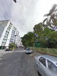 Foto 5 de Orquidário Municipal de Santos